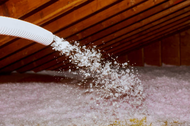 Best Eco-Friendly Insulation in Littlerock, CA
